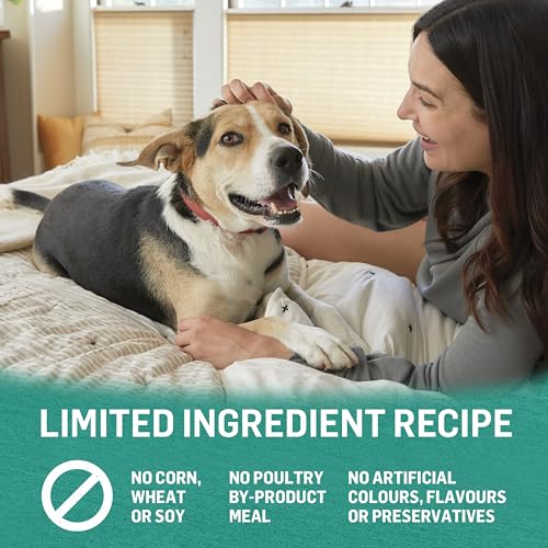 Beyond Natural Wet Dog Food, Alaskan Cod, Salmon & Sweet Potato Ground Entree - 368 g Can (12 Pack) image 1