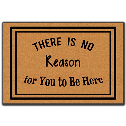 Funny Door Mats Outdoor Entrance,There is No Reason for You