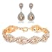 Miraculous Garden Womens Silver Gold Rose Gold Plated Rhinestone Wedding Drop Earrings for Mother's Day