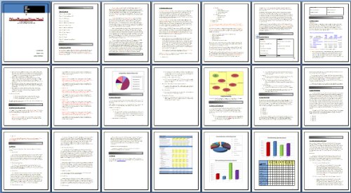Powder Coating Supplier Service BUSINESS PLAN + MARKETING PLAN = 2 PLANS! - Thumbnail 6
