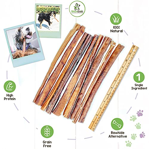 Nature Gnaws Bully Sticks For Large Dogs - Premium Natural Beef Dental Bones - Thick Long Lasting Dog Chew Treats For Aggressive Chewers - Rawhide Free 10 Count (Pack Of 1) #TOP2