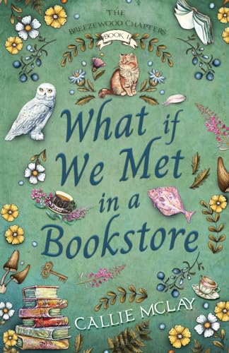 What If We Met In A Bookstore (Breezewood Chapters)
