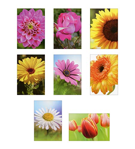 50 tarjetas de felicitación con diseño de flores Cover