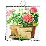 The Round Top Collection - Mini Gallery Pots of Geraniums