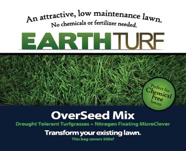 Overseed (2 lbs (Covers 500sf))