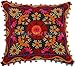 Trade Star Suzani Housse de coussin 40,6 x 40,6 cm, coussins indiens, taies d'oreiller à pompons, housses de coussin d'extérieur en coton (motif 2)