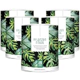 NATURTREU® Greens Pulver - 5x 300g Smoothie Powder mit Weizengras, Gerstengras, Lucuma, Maca, Spinat, Moringa, Spirulina und mehr grünen Helfern - 100% vegan - in Deutschland hergestellt