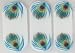Jamberry Nails- Half Sheet Nail Wraps- Shake Your Tail Feather