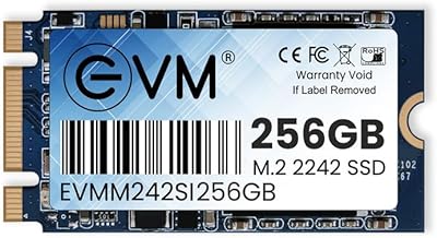 EVM 256GB M.2 (2242) SATA Internal SSD - 520MB/s Read & 400MB/s Write - 5-Year Warranty (EVMM242/256GB)