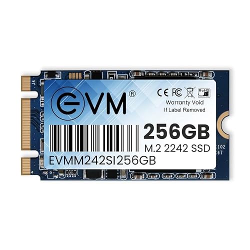 EVM 256GB M.2 SATA 2242 EVMM242/256GB