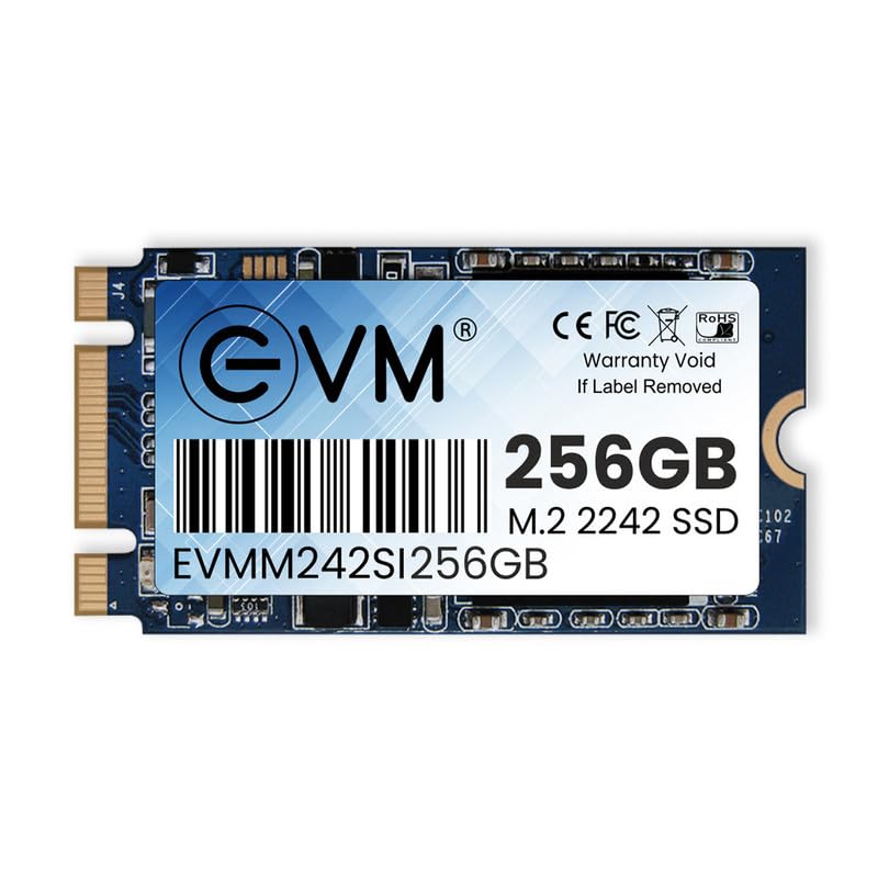Evm 256gb M 2242 Sata Internal Ssd 520mb S Desertcart INDIA