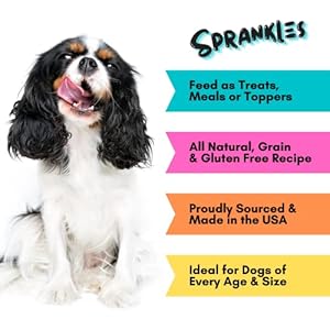 Freeze Dried Canine Meals for Small & Giant Breeds Canine, 16 Oz Beef Canine Meals Toppers for Choosy Eatres, Made in USA - Grain Free & All Pure Freeze Dried Canine Treats Made with 96% Meat Organs Freeze Dried Canine Meals for Small & Giant Breeds Canine, 16 Oz Beef Canine Meals Toppers for Choosy Eatres, Made in USA – Grain Free & All Pure Freeze Dried Canine Treats Made with 96% Meat Organs