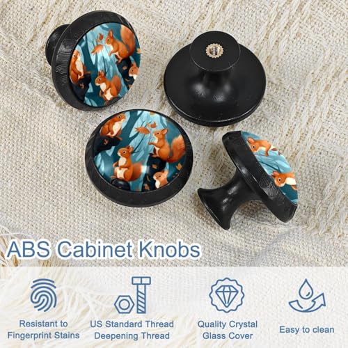 Boutons de commode écureuil x4 pour customiser vos meubles de maison - 5
