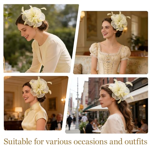 Image of DRESHOW Fascinators Hat Tea Party Headwear Ribbons Feathers on a Headband and a Clip for Women