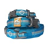 Kurgo RSG Dog Collar | Extra Wide Collar for Dogs | Comfortable | Adjustable | Reflective | Quick Release Buckles | Molle Compatible | Bottle Opener | Medium, Large Dogs |(Small), Coastal Blue