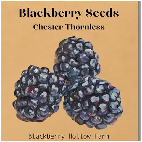 Chester Thornless Blackberry Seeds by Blackberry Hollow Farm Cover