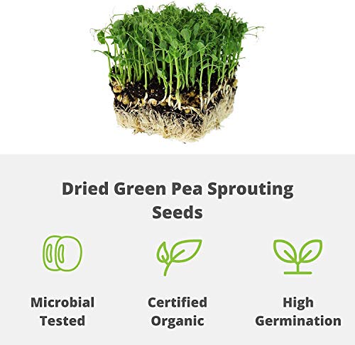 Certified Organic Dried Green Pea Sprouting Seed - 1 Lb - Handy Pantry Brand - Green Pea For Sprouts, Garden Planting, Cooking, Soup, Emergency Food Storage, Vegetable Gardening #TOP2