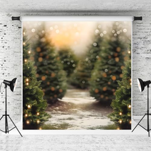 Toile de fond forêt de Noël Kate 2,4x2,4m pour studio photo