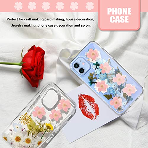 Flores secas rosa de cerezo para manualidades, 60 piezas miniatura 6