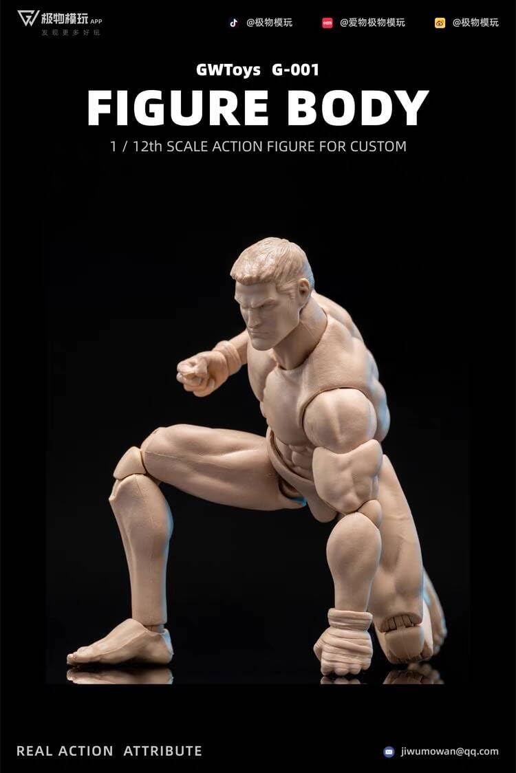 GOOD Toys 1/12 アクションフィギュア 素体 ヘッド DG001 Amazon.co.jp: 【Tbmodel 】GWTOYS 1/12 アクションフィギュア 男性