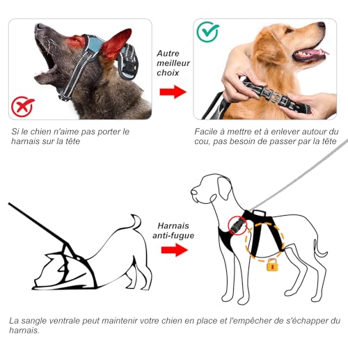 Image of HEELE Dog Harness, Escape Proof Dog Harness, Release on Neck, No Pull Reflective Adjustable Vest with Durable Handle, Dog Harness for Outdoor Training Walking, Dog Harness for Small /Active Dogs, S