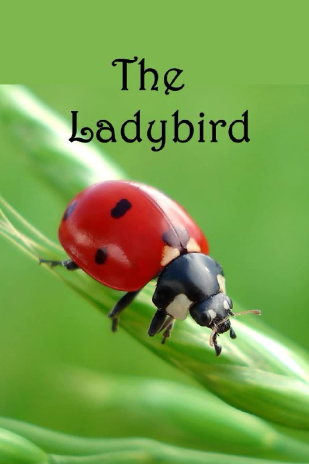 The Ladybird: Life cycle of the Ladybird: 8 (The Wonderful World of Insects)