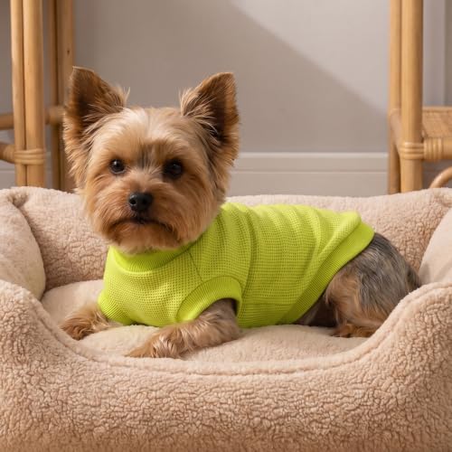 Image of 2 Pack Dog Shirt for Small Supplies Functional Waffle Dog Clothes Warm Soft Sweatshirt Outfit for Dogs Cats Pet Apparel