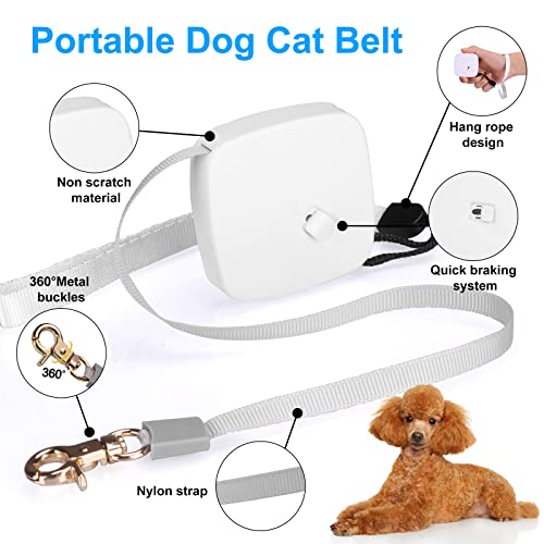 Retractable Dog Leash For Small Dogs Cats Up To 11Lbs With 6.5Ft Anti-Pull Strong Nylon Tape, Hands Free, Mini And Portable Walking Leash With Wrist Strap, One-Hand Brake, White Square #TOP2