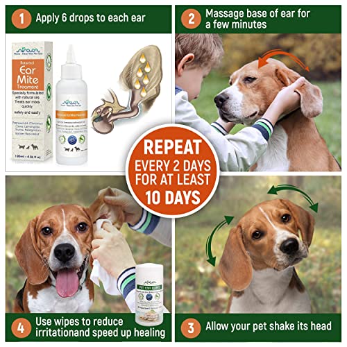 Arava Natural Ear Mite Treatment for Cats and Dogs Effective Ear Cleaning Drops for Cat and Dog Ear Mites and Prevent Infections Not for Cats Under 13 Lbs Puppies Under 9 Months Cucciolini Doodles Arava natural ear mite treatment for cats and dogs effective ear cleaning drops for cat and dog ear mites and prevent infections not for cats under 13 lbs puppies under 9 months cucciolini doodles