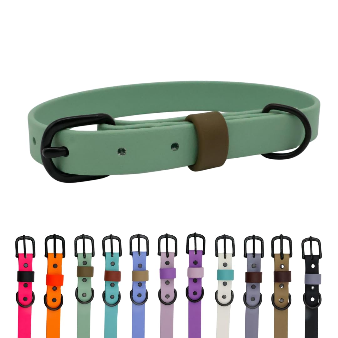Collier pour chien imperméable flexible taille M résistant