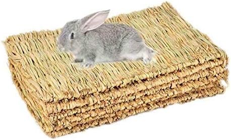 rabbit chew mat