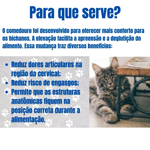 Comedouro Elevado Alto Vasilia Coma Melhor para Gatos Gato e Pet 100 ml (Verde)