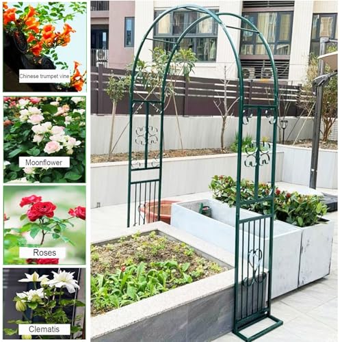 Support de treillis métallique blanc pour guider vos plantes