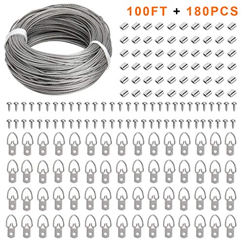 Picture Hanging Kit - 100 Feet Stainless Steel Hanging Wire, 60 Pcs D