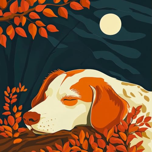 在地平线之上：伊甸的隐秘犬之庇护所 von Classical Yoga Music bei Amazon Music Amazon.de