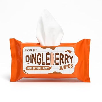 Dingleberry Wipes Pocket Size Novelty Moist Towelettes for Teen Boys Mens Stocking Stuffers Funny Poop Humor Gifts Present Unscented