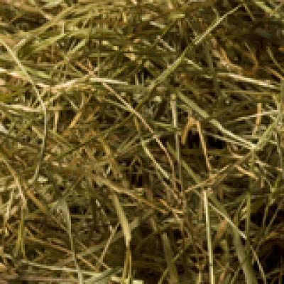 Allgäuer Wiesenheu (6X 2000 g)