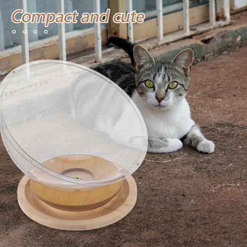 Nid pour chat transparent et stable lit surélevé multifonction - 5