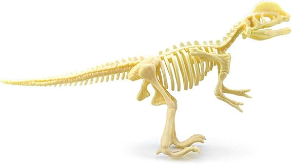 7X Dinosaur Skeleton Models Archeology Toys for Collection for Kids Children