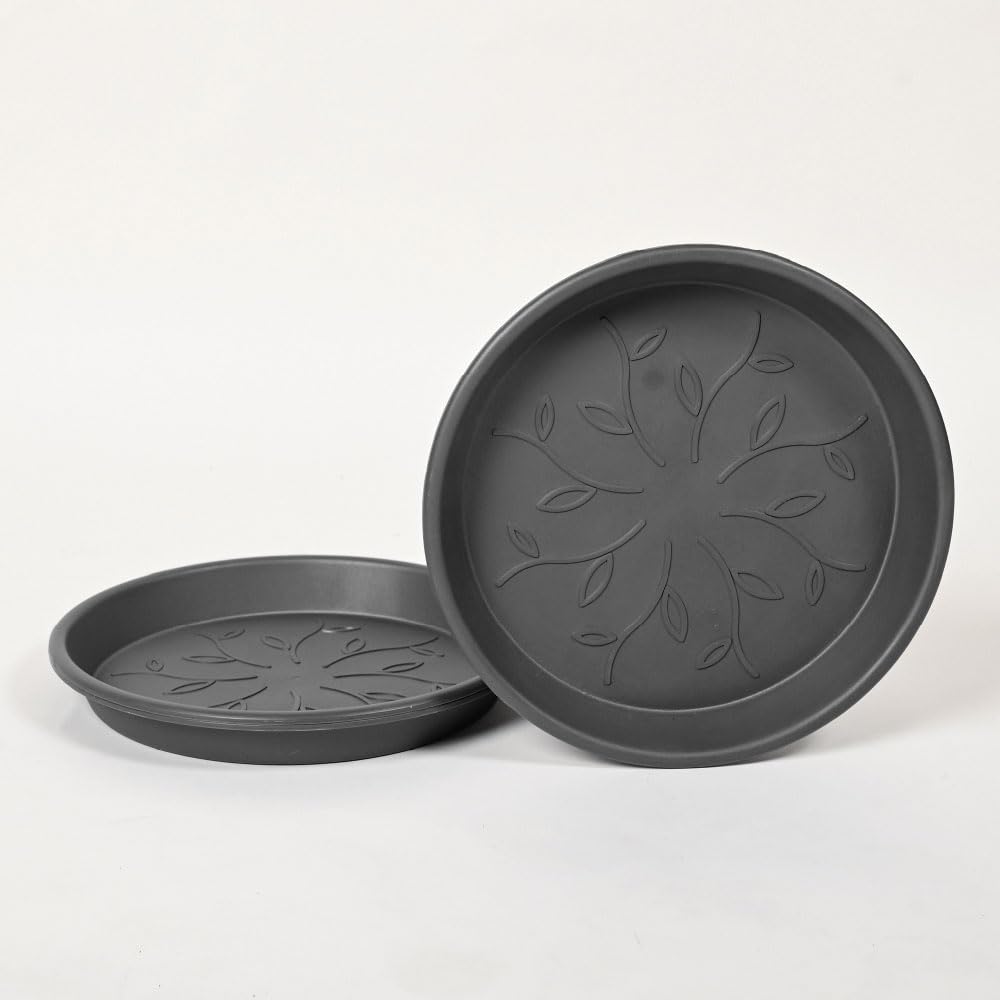 Ugaoo Plant Saucers - Protect Pots & Surfaces -15
