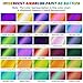 HOMY ARTY Iridescent Airbrush Paint - 30 Colors with 4.05 fl oz Thinner and 4.05 fl oz Primer, Ready to Spray Acrylic Airbrush Paints, Water-Based Iridescent Air Brush Colors for Plastic Model, Canvas