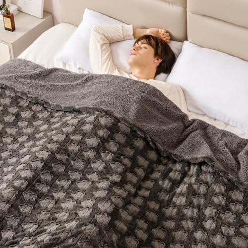 Image of Bearhug Heated Blanket Twin Size, 62 inchx84 inch Electric Blanket with 10 Heat Levels & 1-12H Adjustable Auto Off, Faux Fur and Sherpa Reversible Bed Warmer, ETL Certified, Machine Washable