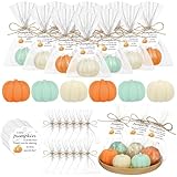 Demissle 40 Fall Pumpkin Baby Shower Favors Thanksgiving Bridal Shower Soap Favors Mini Pumpkin Soap Thanks Card Gift Bag with String for Guest Wedding Autumn Party Decor Gifts (Colorful)