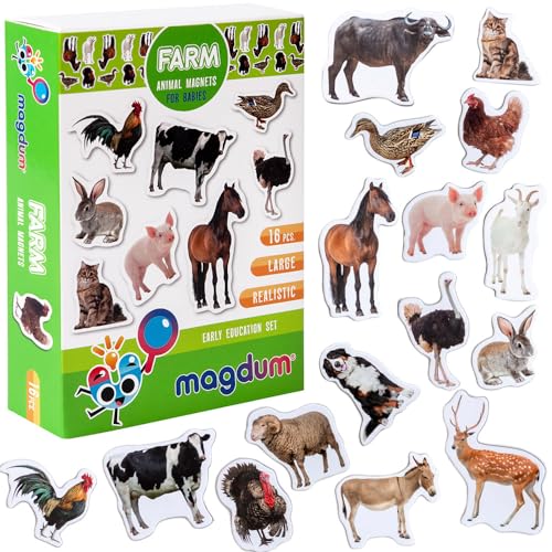 La Mejor review de Imanes infantiles listamos los 10 mejores. 2