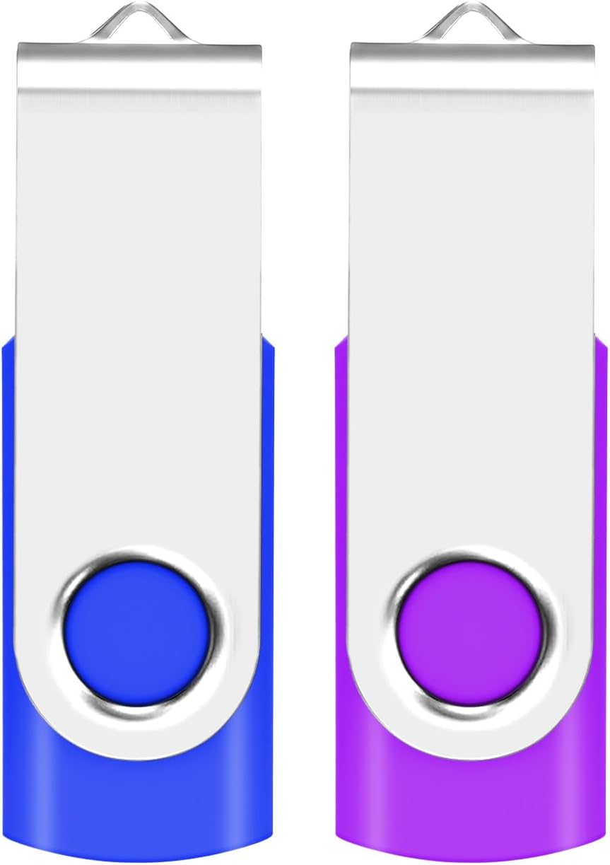 1GB USB Flash Drive 2-Pack EASTBULL USB 2.0 Drive Swivel USB Stick Memory Stick Metal Pen Drive (Blue & Purple)