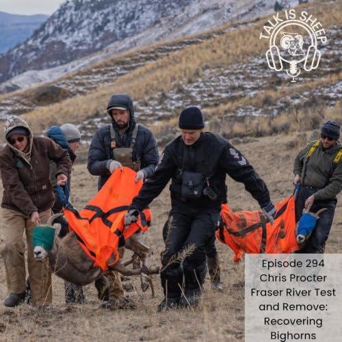 Fraser River Test and Remove: Recovering Bighorns with Chris Procter