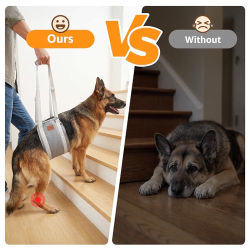 Image of Adjustable Dog Lift Harness Dog Sling for Large Dogs Hind Leg Support Soft Lift Support for Weak Rear Legs, Helps Senior, Injured, Disabled, After ACL Surgery Dogs (Grey&Grey, X-Large)