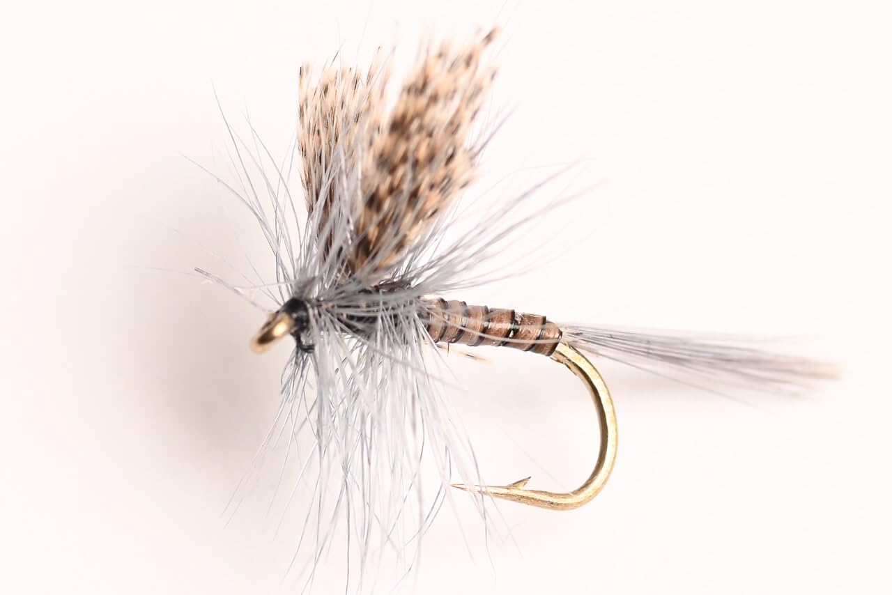 Blue Wing Olive Quill Gordon Dry Fly, 6-Pack (14#), Natural