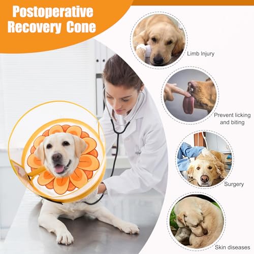 Image of Inflatable Dog Cone Collar with Enhanced Anti-Licking, Soft Neck Donut for Dogs Cats, Recovery Pet Cone Collar After Surgery for Large Medium Small Dogs (Yellow Flower, Medium+)
