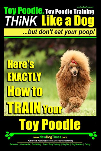 how to train a toy poodle